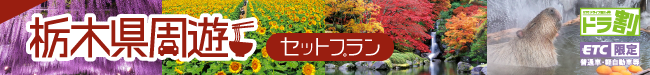 栃木県周遊セットプラン（ＰＧＭ） | ドラ割